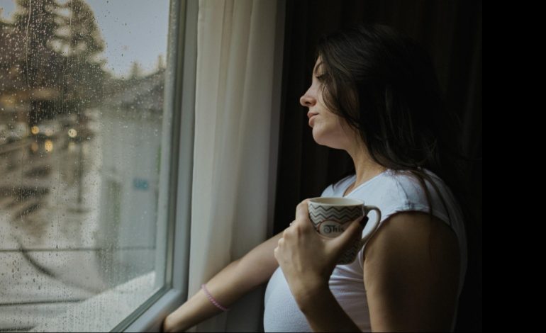 The Maternal Rejection: Why Literature Is Finally Telling the Truth About Motherhood